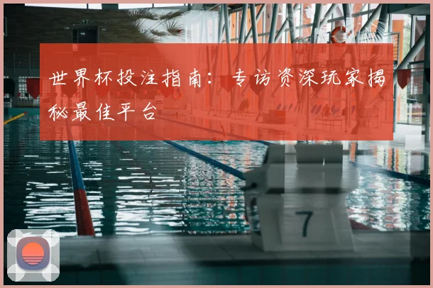 世界杯投注指南:专访资深玩家揭秘最佳平台