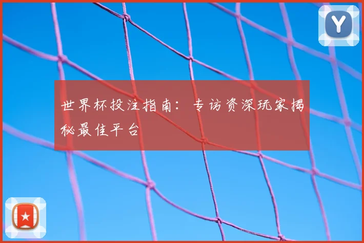 世界杯投注指南:专访资深玩家揭秘最佳平台