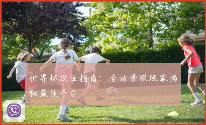 世界杯投注指南:专访资深玩家揭秘最佳平台