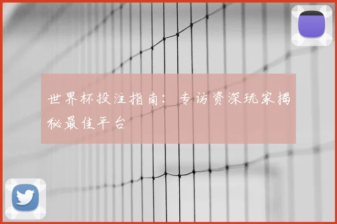 世界杯投注指南:专访资深玩家揭秘最佳平台