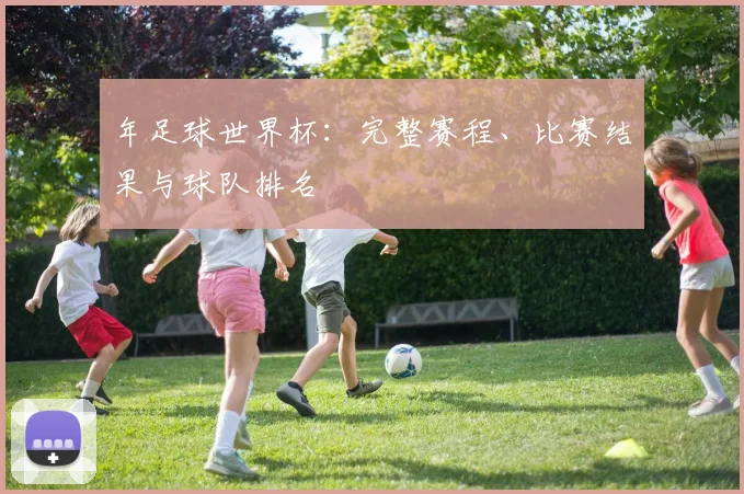 年足球世界杯：完整赛程、比赛结果与球队排名