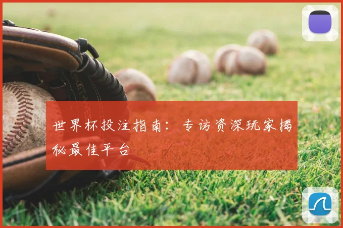 世界杯投注指南:专访资深玩家揭秘最佳平台