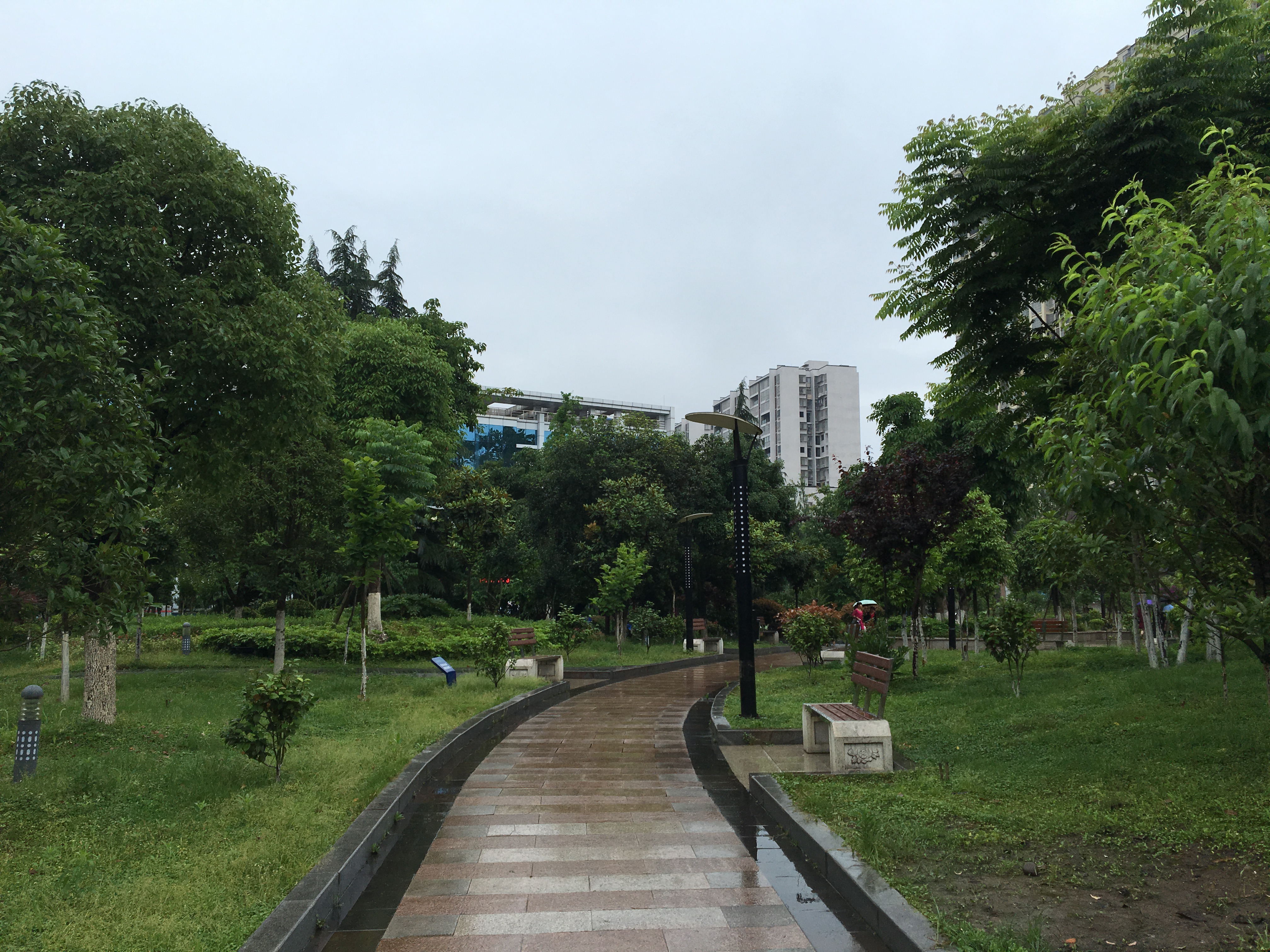 IMG_6383_看圖王.jpg