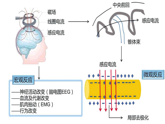 圖片3.png